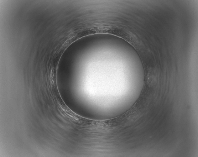 X0000079580866200612081533