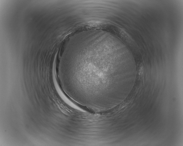 X0000079580868200612081533