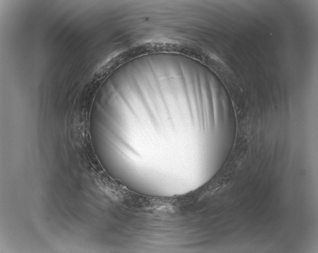 X0000079580870200612081533