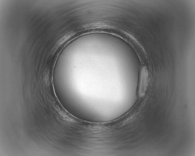X0000079580873200612081533