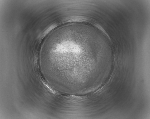X0000079580874200612081533