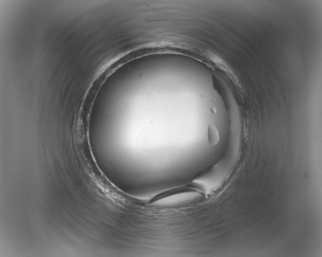 X0000079580876200612081532