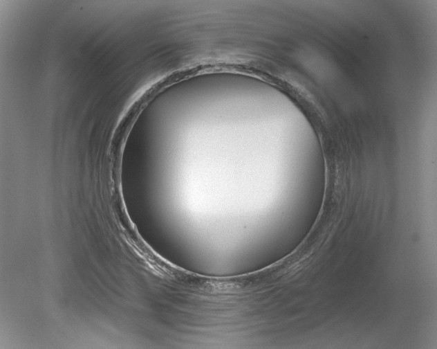 X0000079580878200612081532
