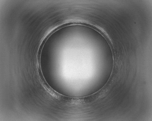 X0000079580887200612081532