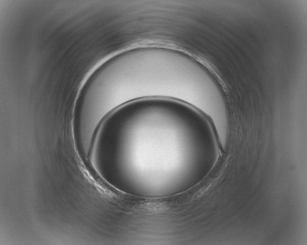 X0000079580888200612081532