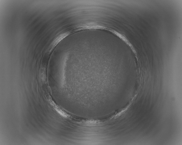 X0000079580889200612081532