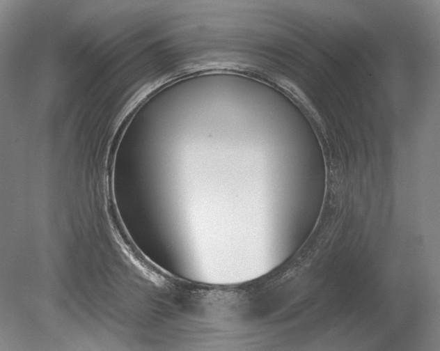 X0000079580890200612081532