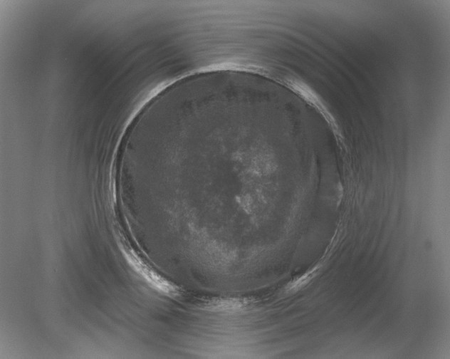 X0000079580892200612081532