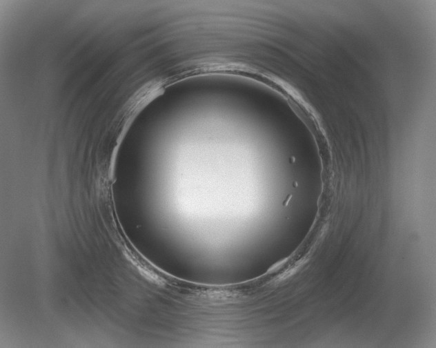 X0000079580897200612081532