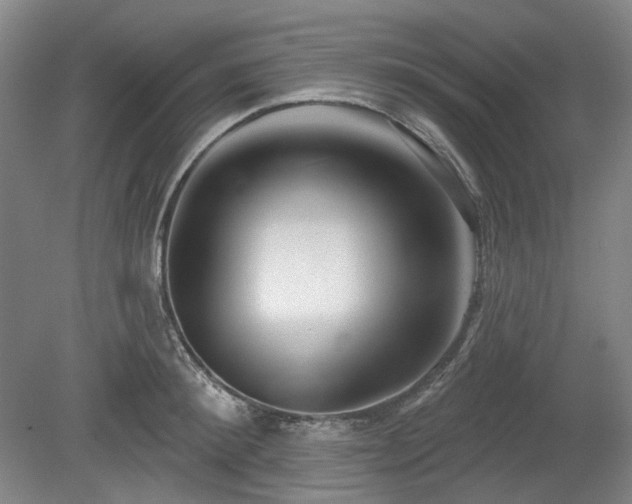 X0000079580900200612081532