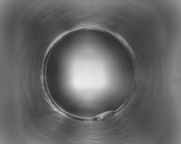 X0000079580904200612081532