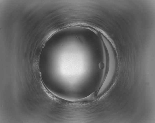 X0000079580905200612081532