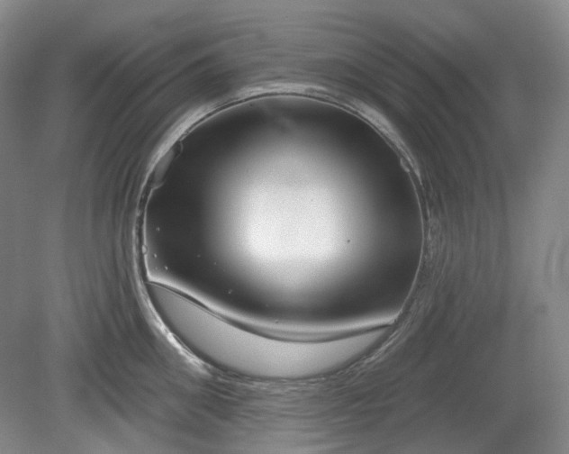 X0000079580906200612081532