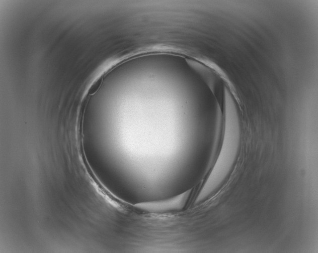 X0000079580910200612081532