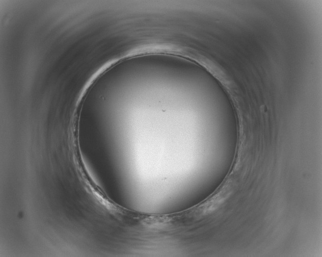 X0000079580912200612081532