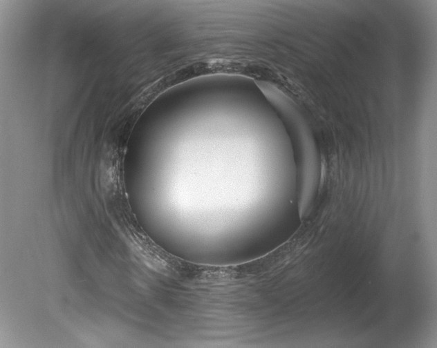 X0000079580914200612081531