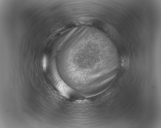 X0000079580915200612081531