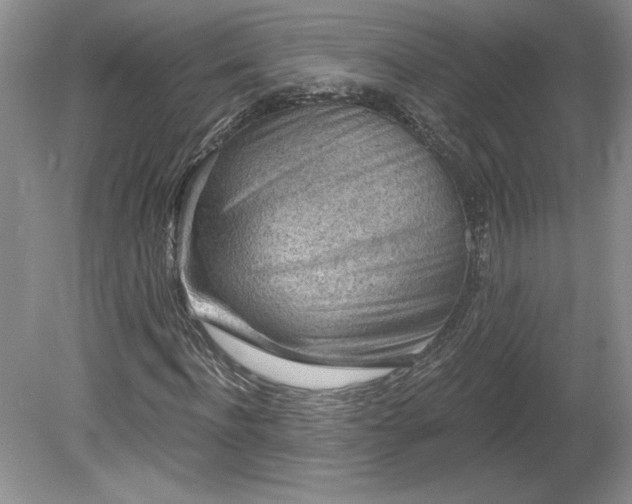 X0000079580916200612081531