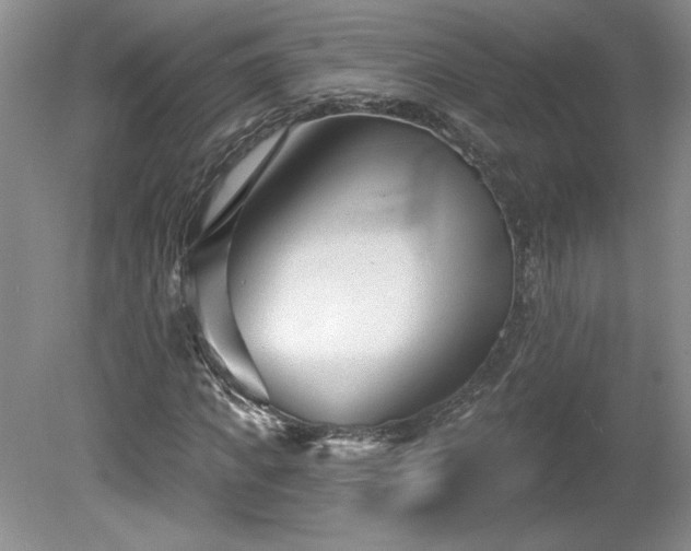 X0000079580917200612081531