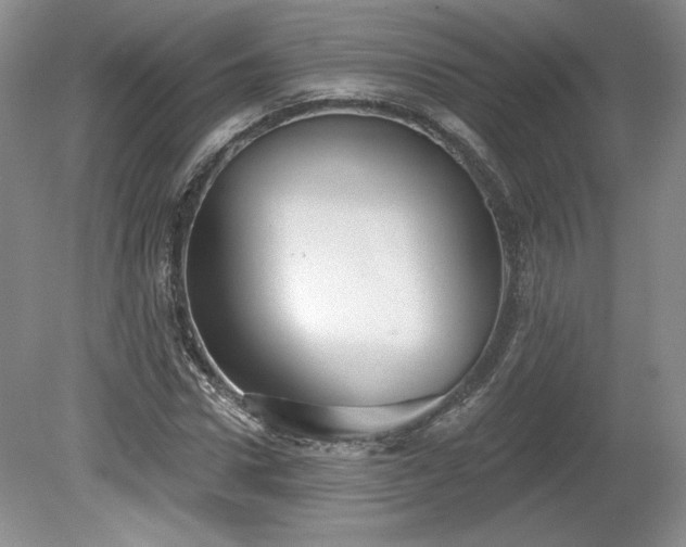 X0000079580922200612081531