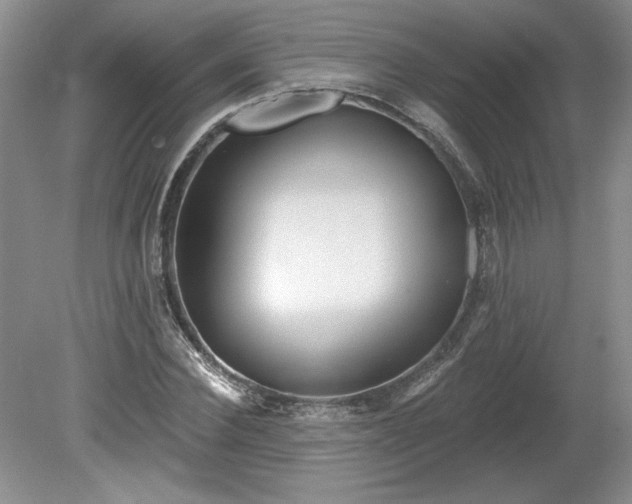 X0000079580924200612081531