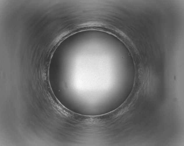 X0000079580929200612081531