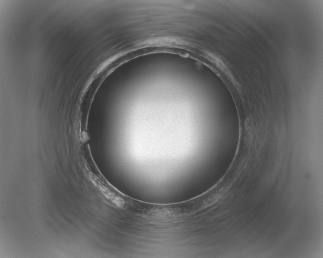 X0000079580931200612081531