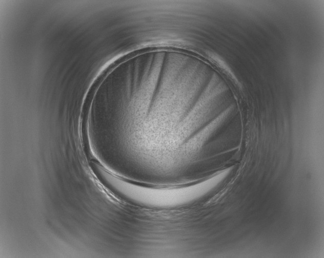 X0000079580932200612081531