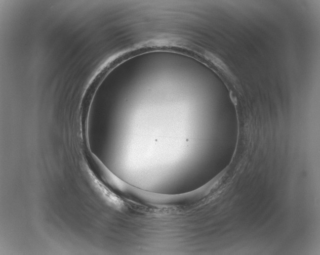 X0000079580934200612081531
