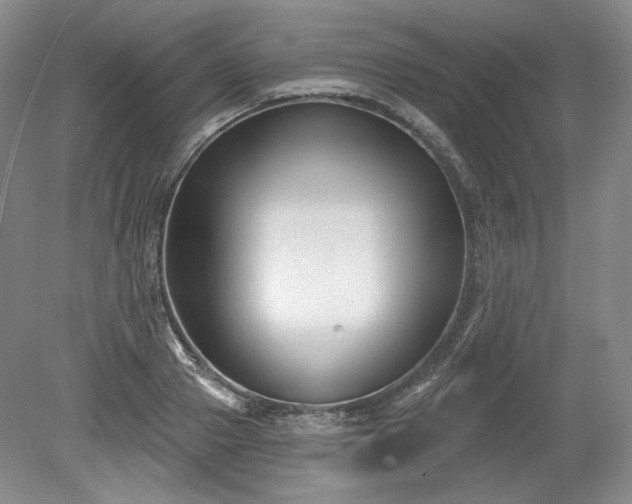X0000079580937200612081531