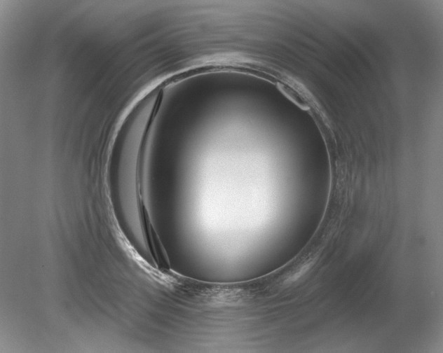 X0000079580939200612081532