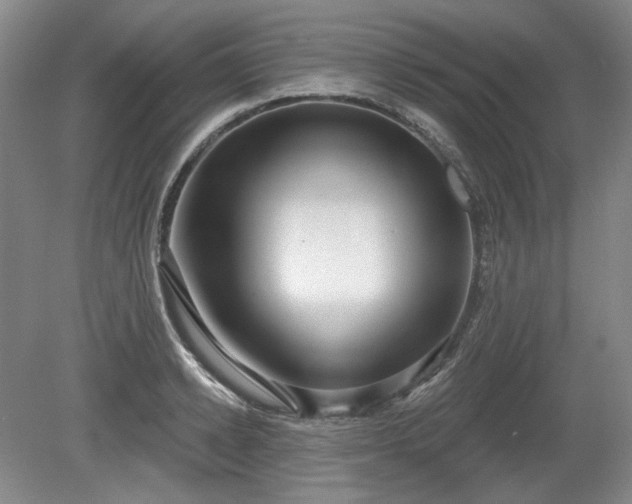 X0000079580942200612081532