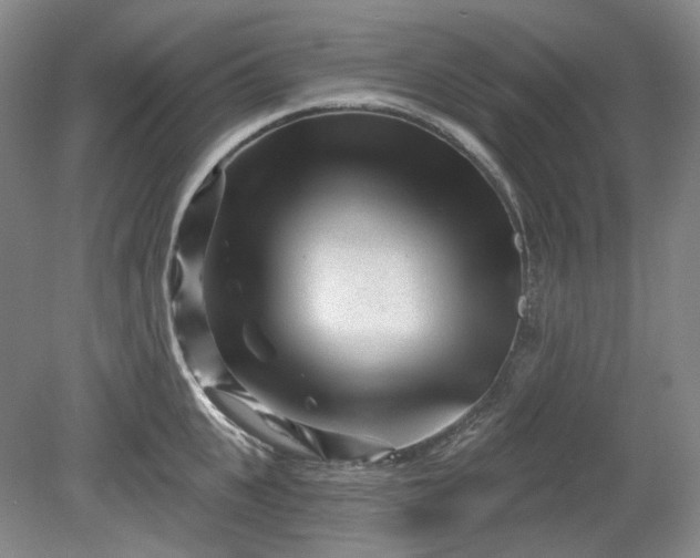 X0000079580951200612081532
