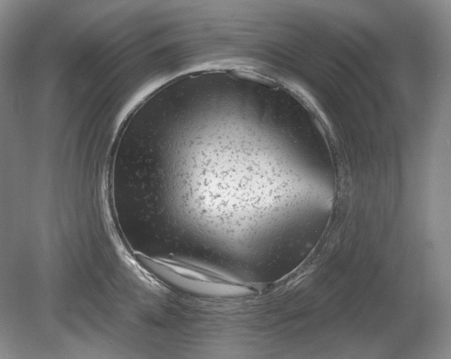 X0000079580952200612081532