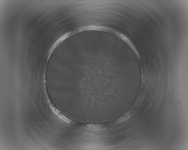 X0000079580954200612081532