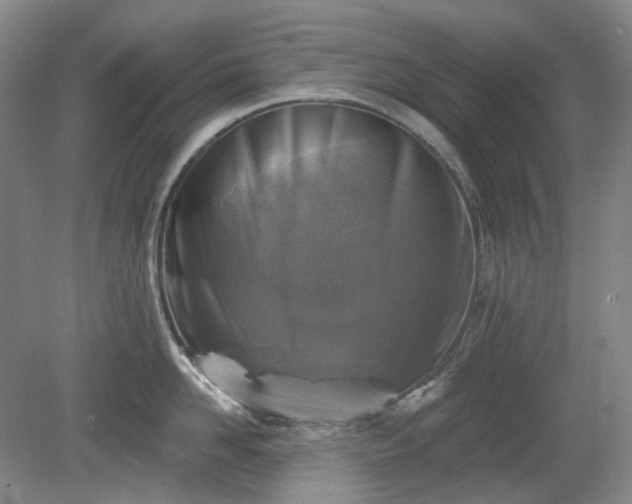 X0000079580958200612081532