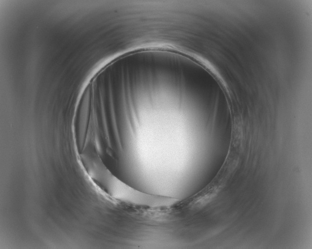 X0000079580959200612081532