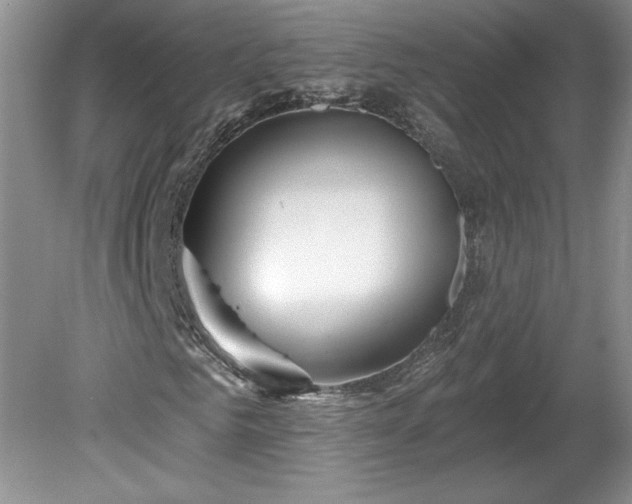 X0000079580961200612081531