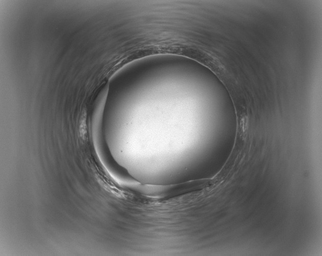 X0000079580963200612081531