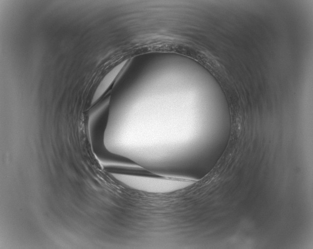 X0000079580964200612081531