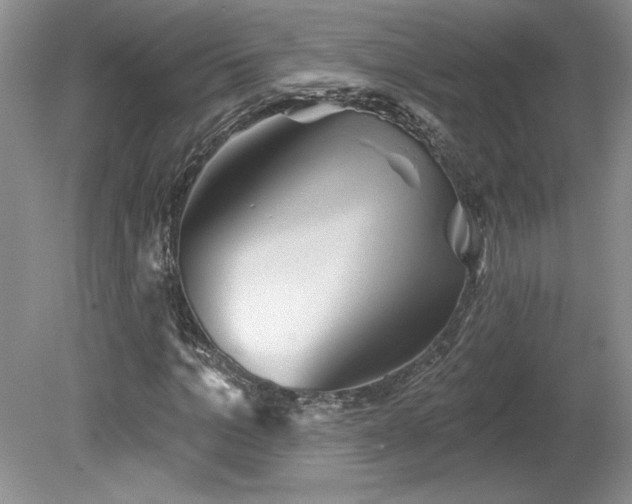 X0000079580965200612081531
