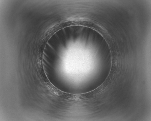 X0000079580966200612081531