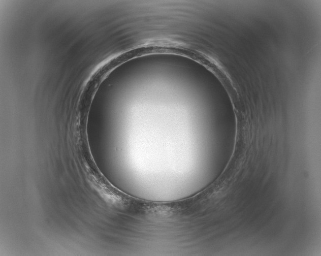 X0000079580971200612081531
