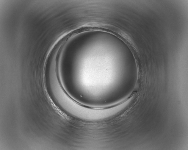 X0000079580976200612081531