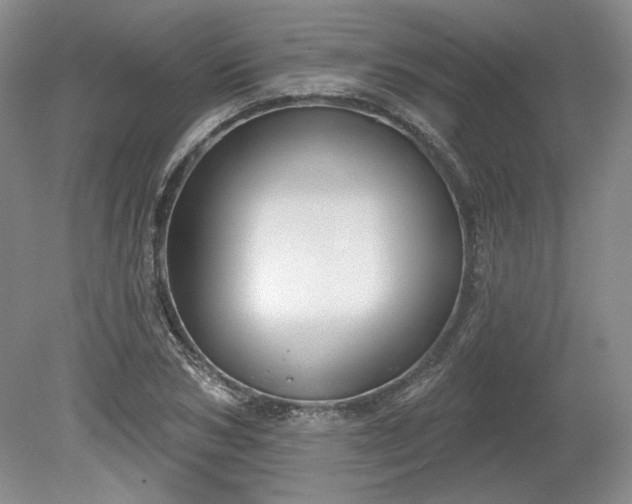 X0000079580978200612081531