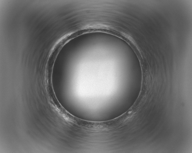 X0000079580979200612081531