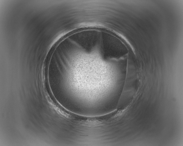 X0000079580983200612081531