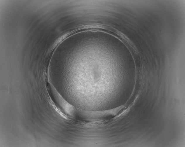 X0000079580985200612081531