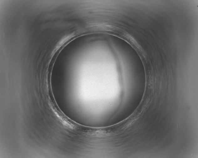 X0000079580986200612081531