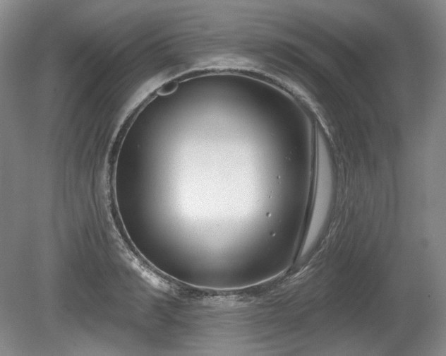 X0000079580990200612081531